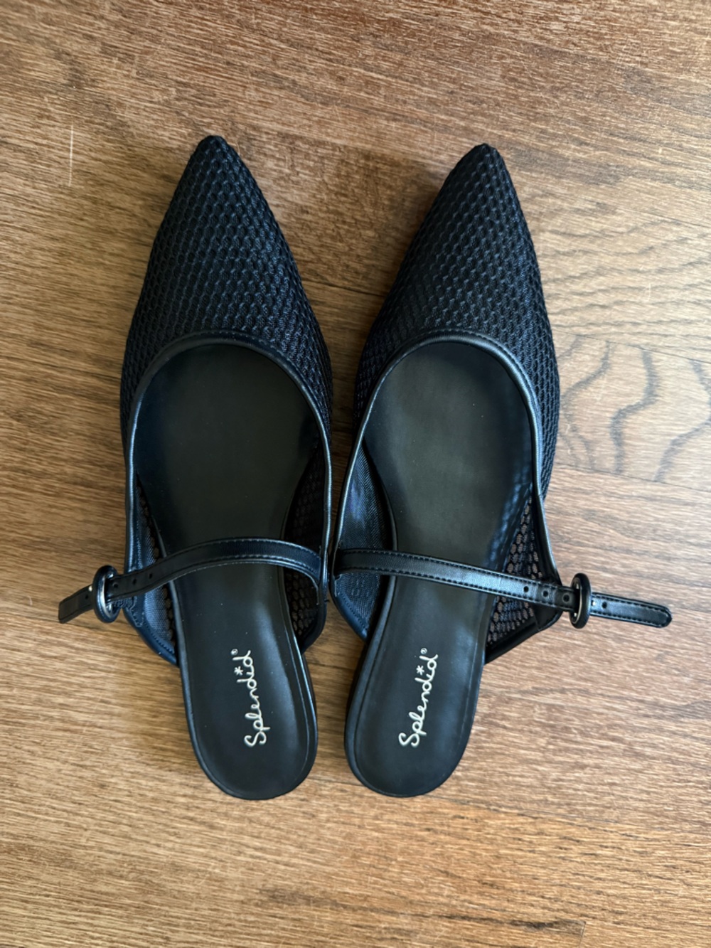 NWT Splendid Mulan Mesh Pointed Mule